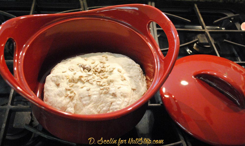 place the dough in a casserole dish